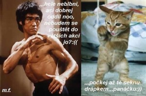 Obrázok